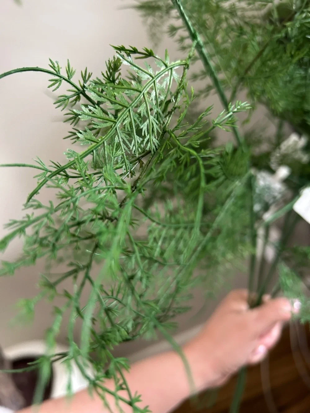 NWT Hearth&Hand Asparagus Fern Plant Stem 32